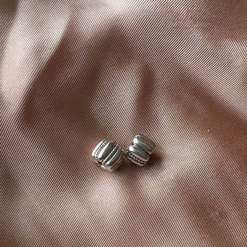 Beautifully detailed Pandora Clips